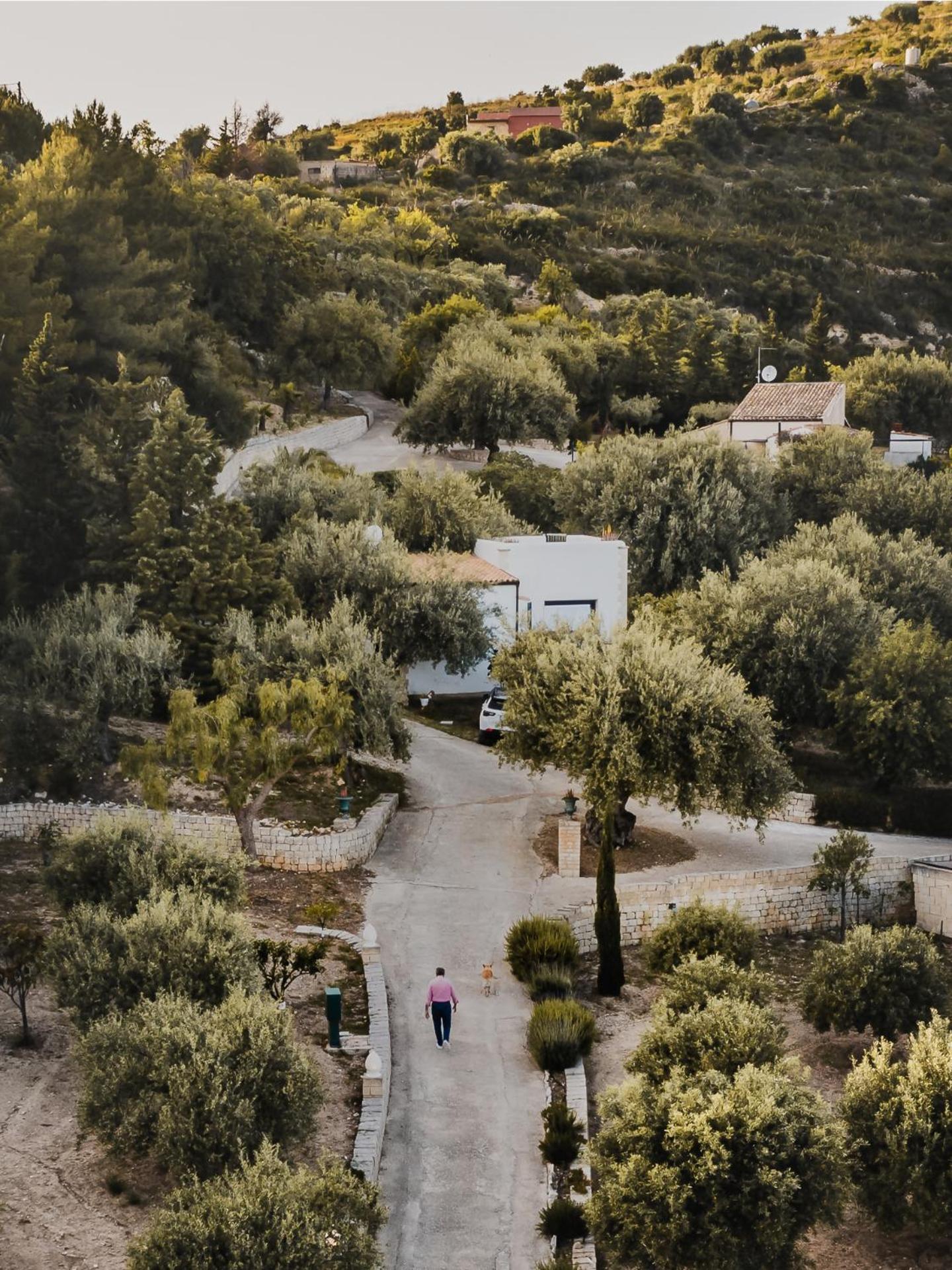 Tenuta Olive Alive 3*