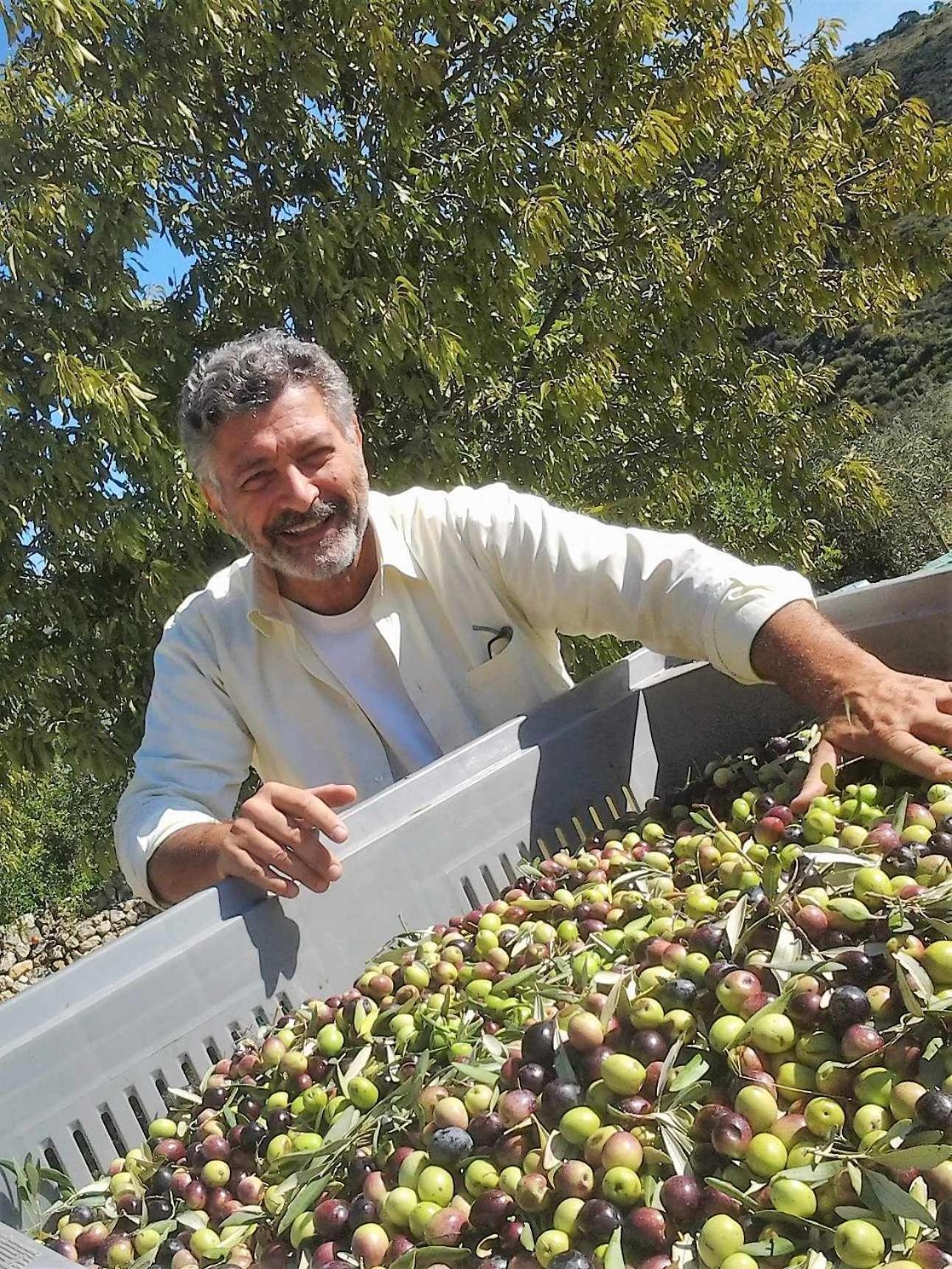 Tenuta Olive Alive